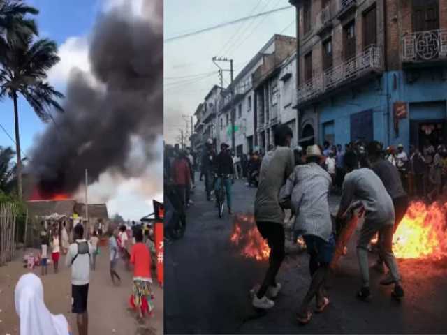 Search image article