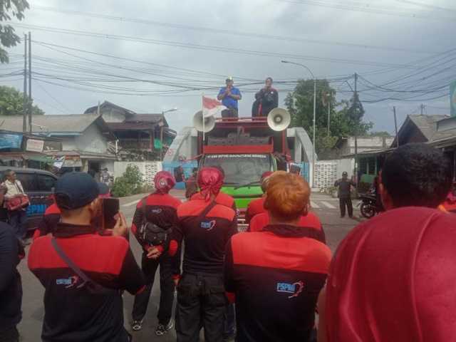 Search image article