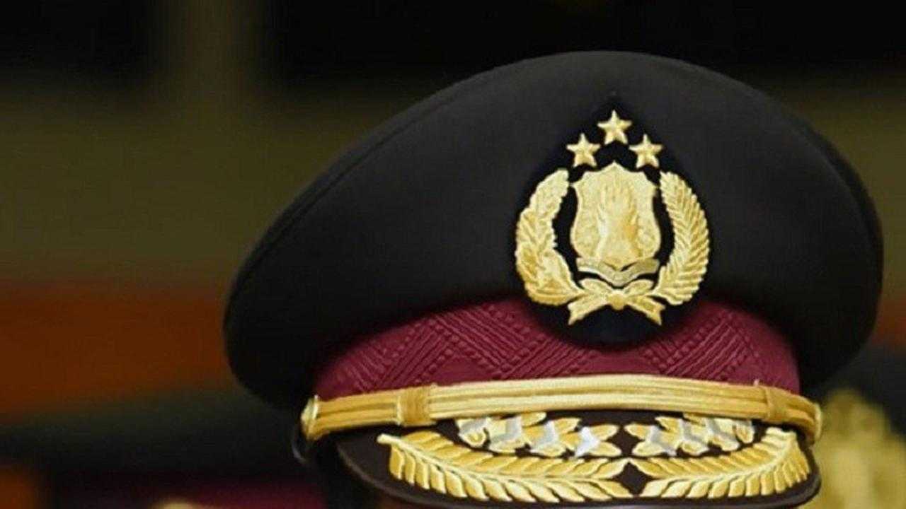 Search image article