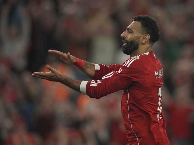 Search image article