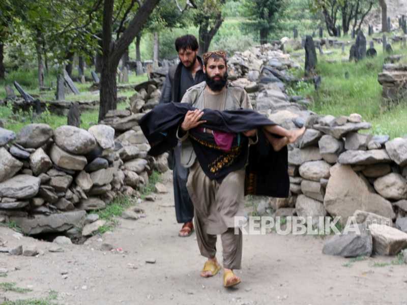 Search image article