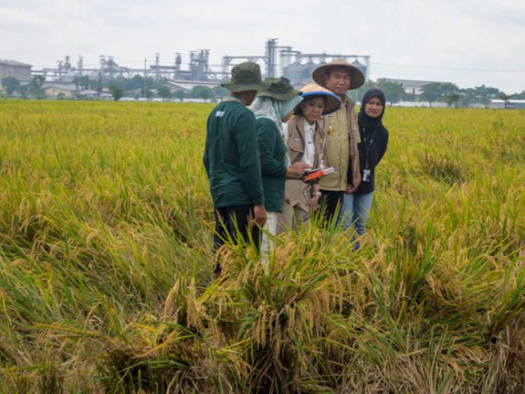 Search image article