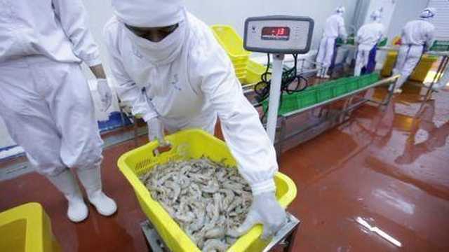 Search image article