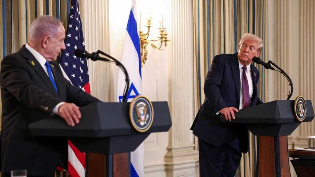 Search image article