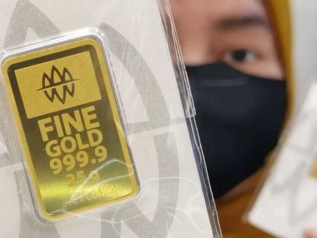 Search image article