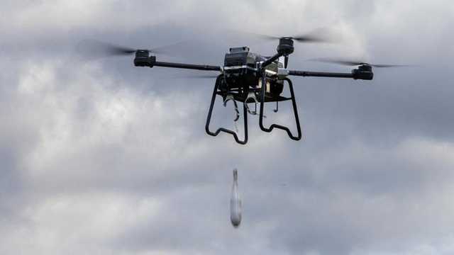 Search image article