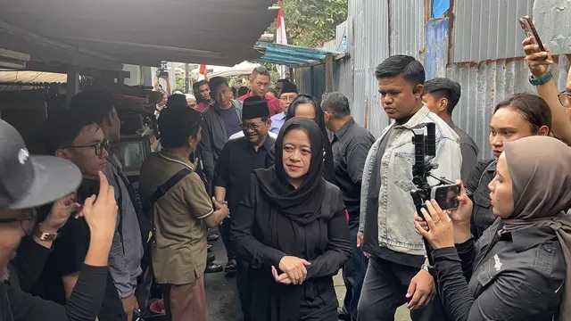 Search image article