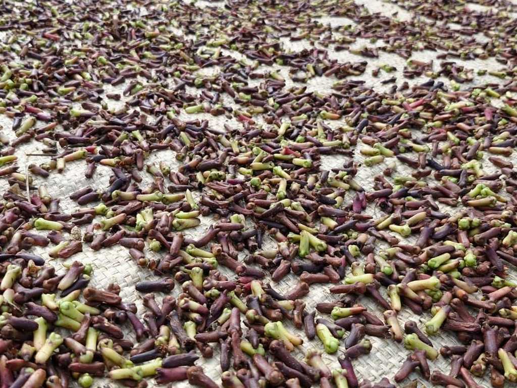 Search image article