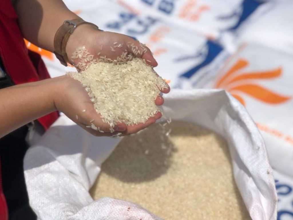 Ombudsman Bongkar 300.000 Ton Beras Bulog Rusak, Potensi Rugi Rp4 T!