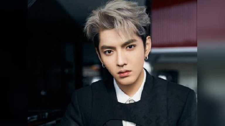 Search image article