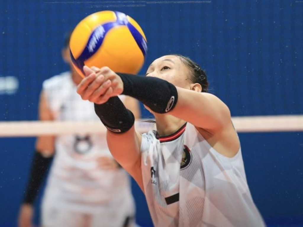 Search image article