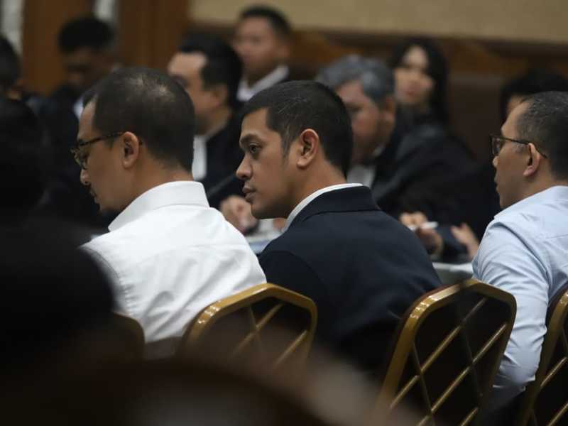 Search image article