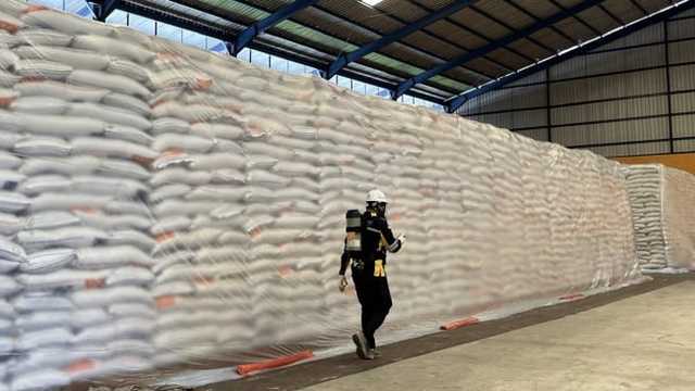 Bulog Tegaskan Kualitas Beras Aman, Hanya 0,1% Stok Butuh Perbaikan