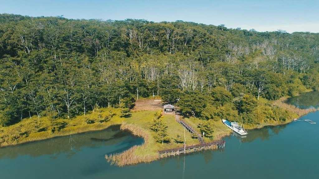 Search image article