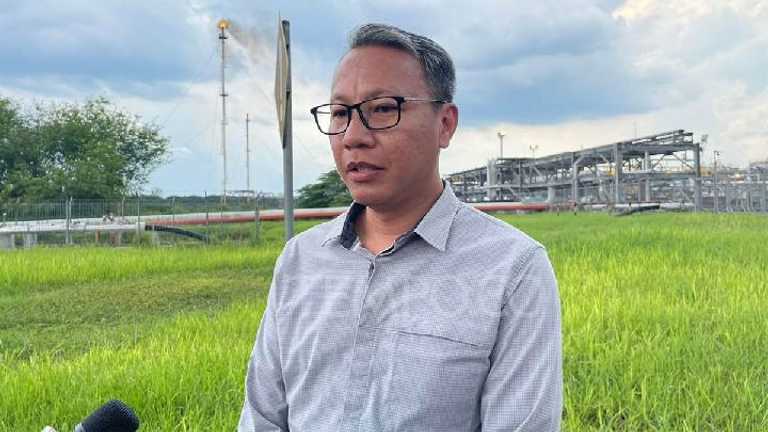 Search image article