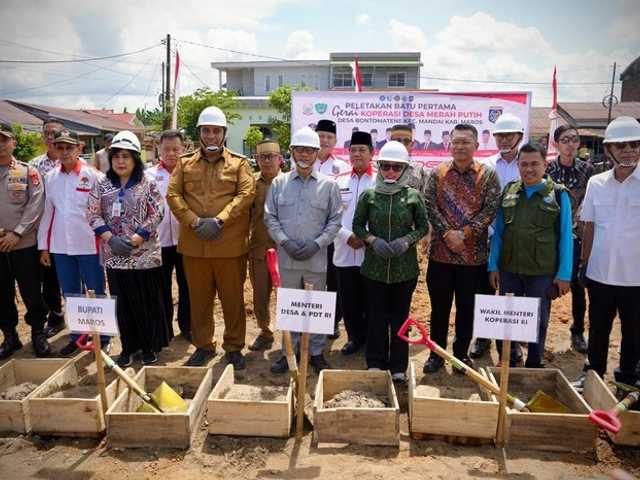 Search image article