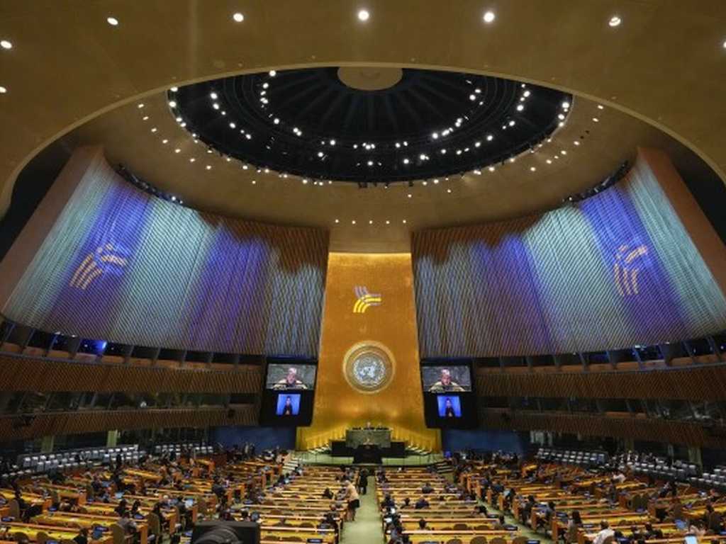 Search image article