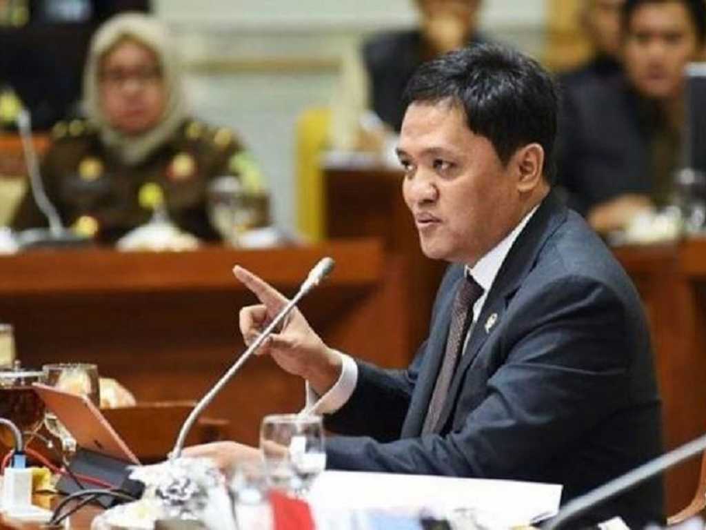 Search image article