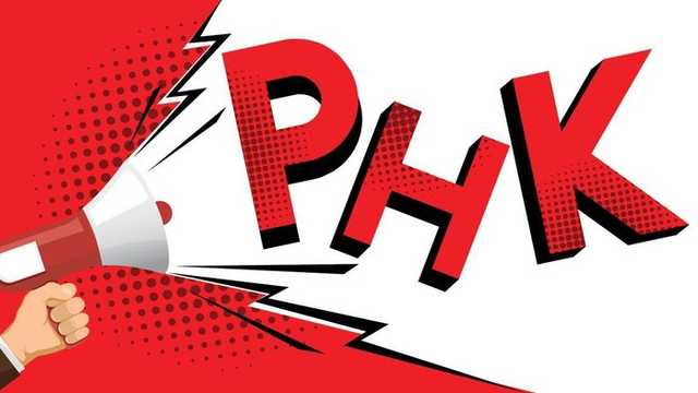 Search image article