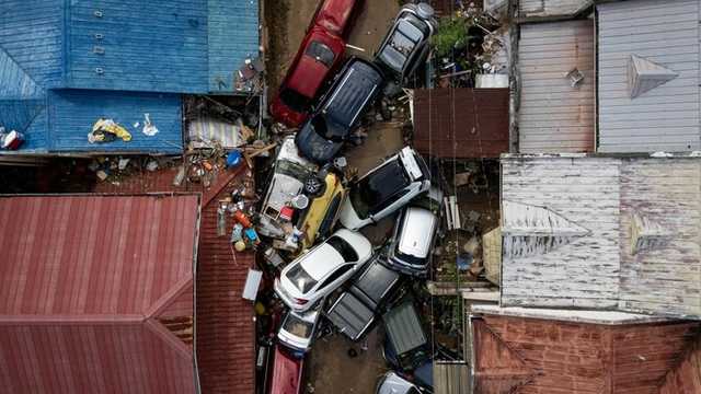 Search image article