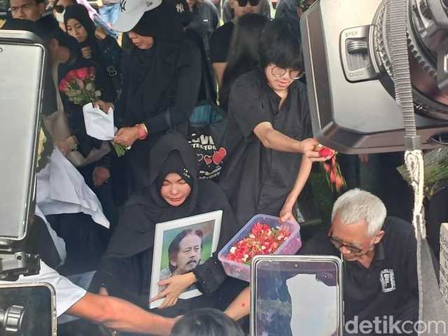 Search image article