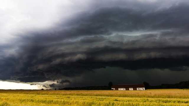 Search image article