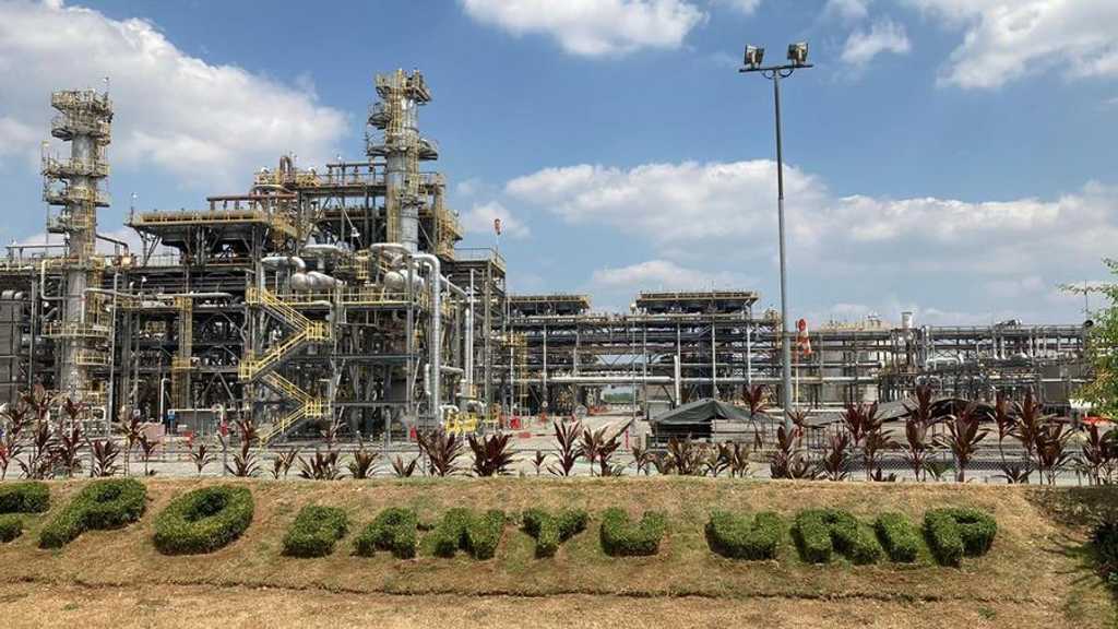 Search image article