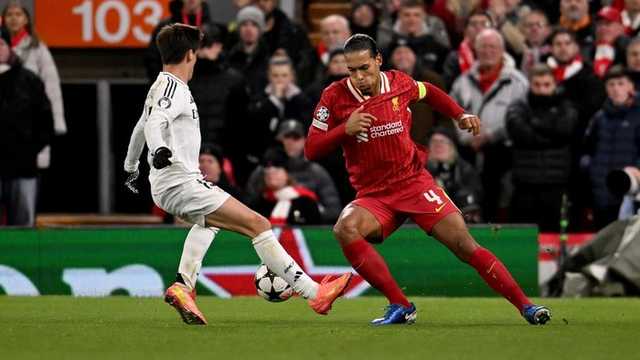 Search image article