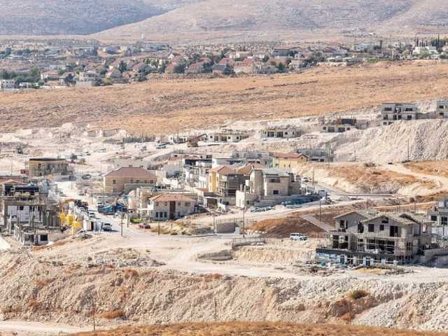 Search image article