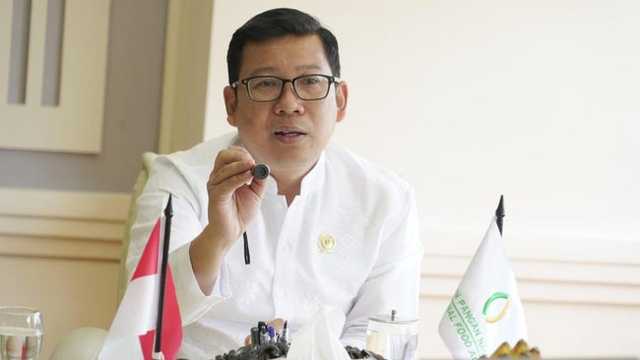 Audit BPK Bikin Beras Bulog Seret, Bapanas Akui Penyaluran Terendah 16 Tahun