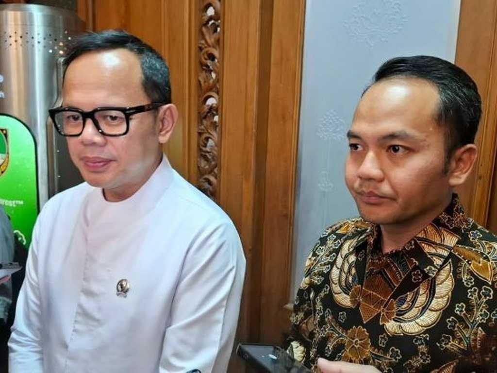 Search image article