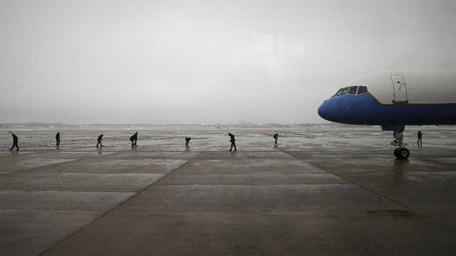 Search image article