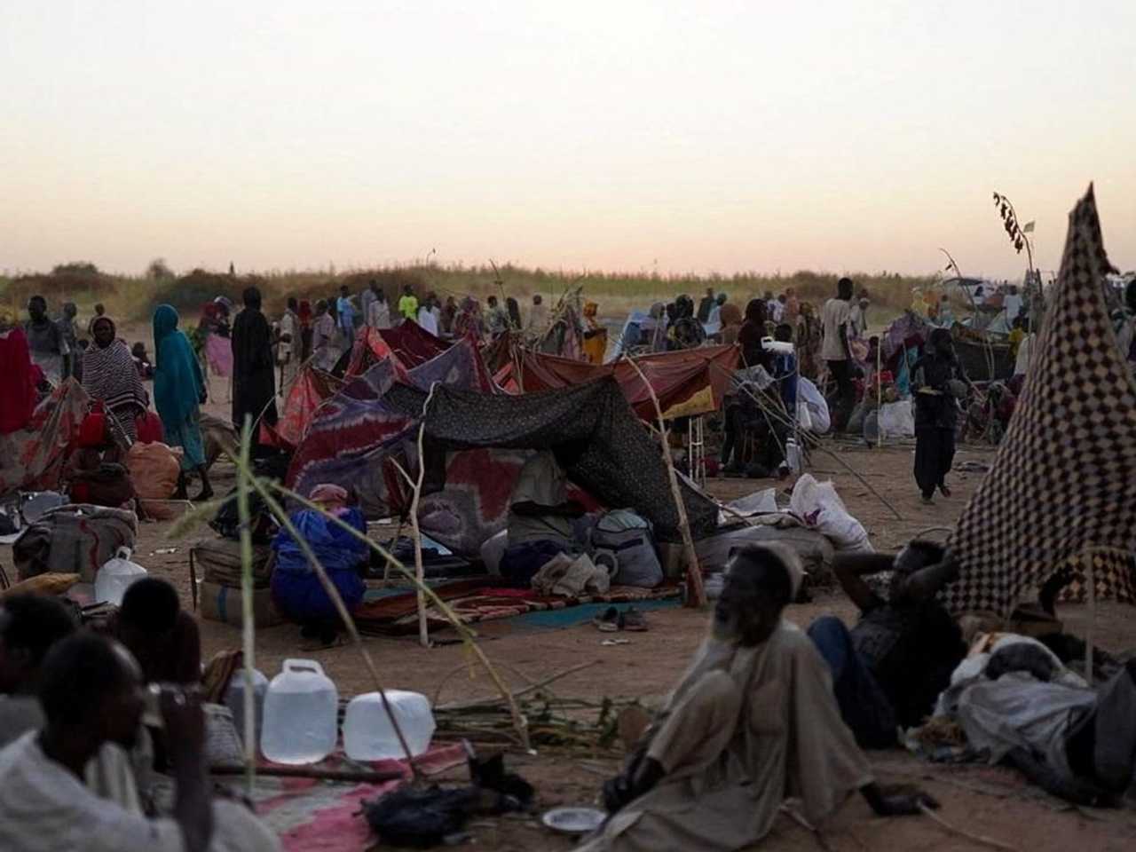 Search image article