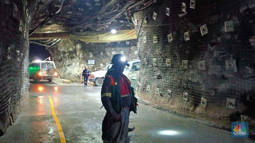 7 Pekerja Terjebak Longsor Tambang Freeport Lebih 48 Jam, Wamen ESDM Turun Tangan
