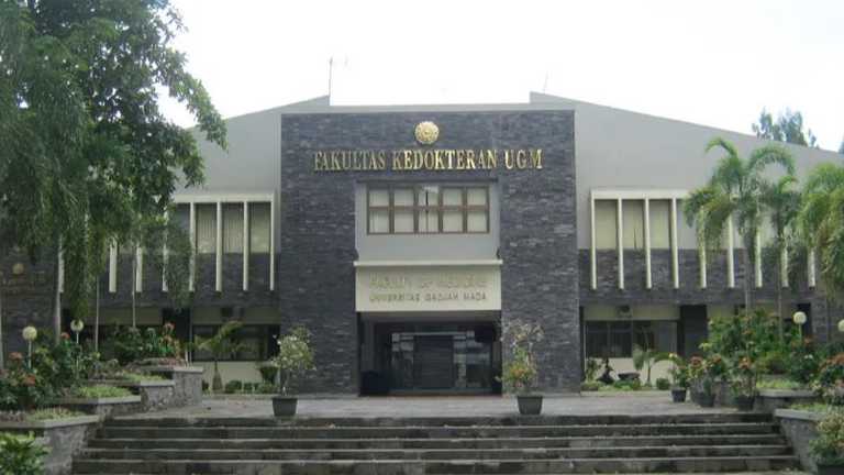 Search image article