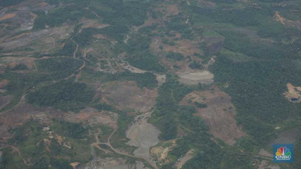 Search image article