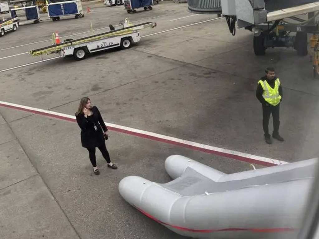 Search image article