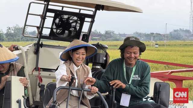 Search image article