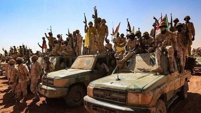 Search image article