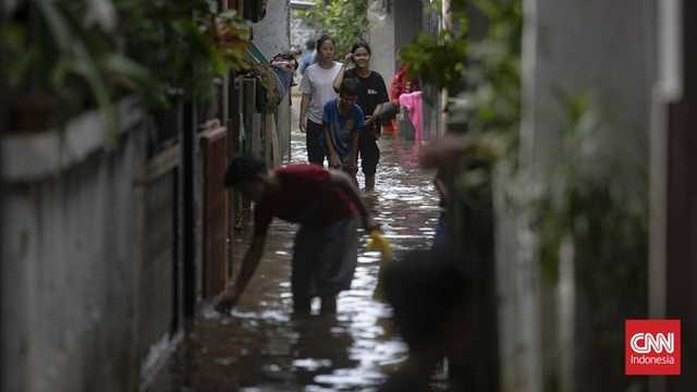 Search image article