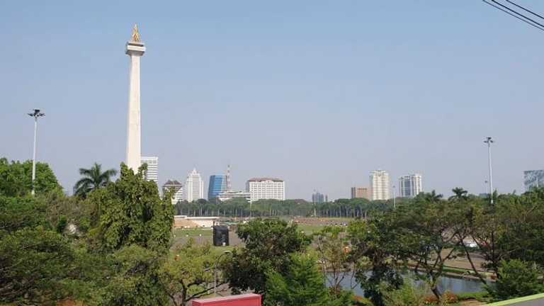 Search image article