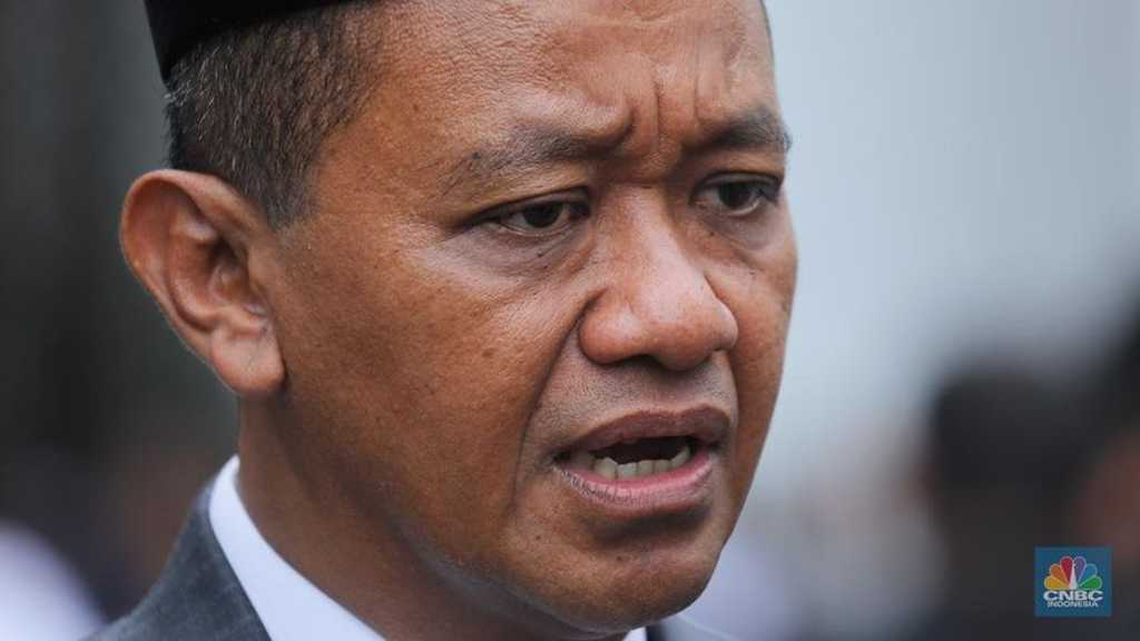 Search image article