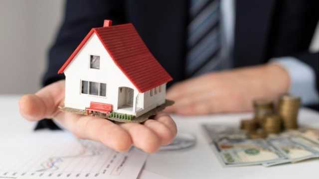 Search image article