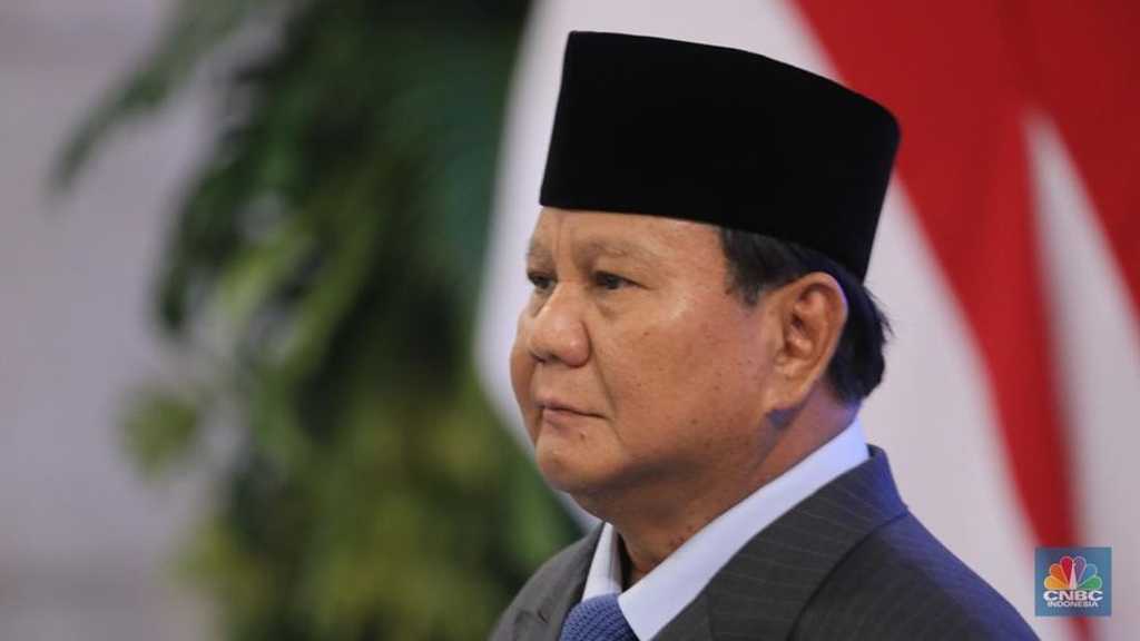 Prabowo setop impor beras, target swasembada pangan 2025