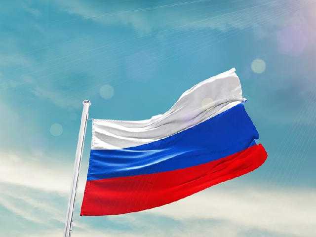 Search image article