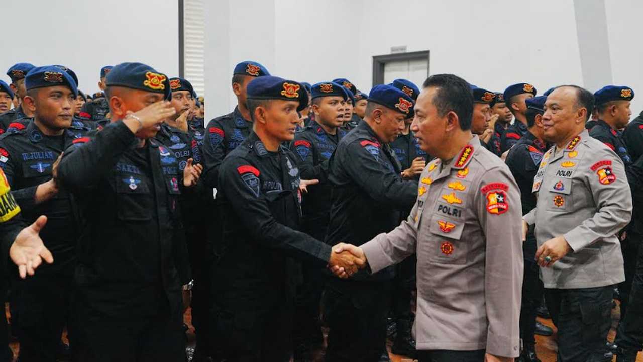 Search image article