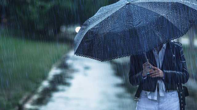 Search image article