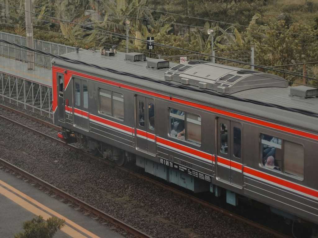 Search image article