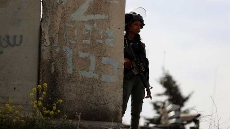 Search image article