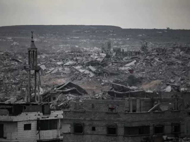 Search image article